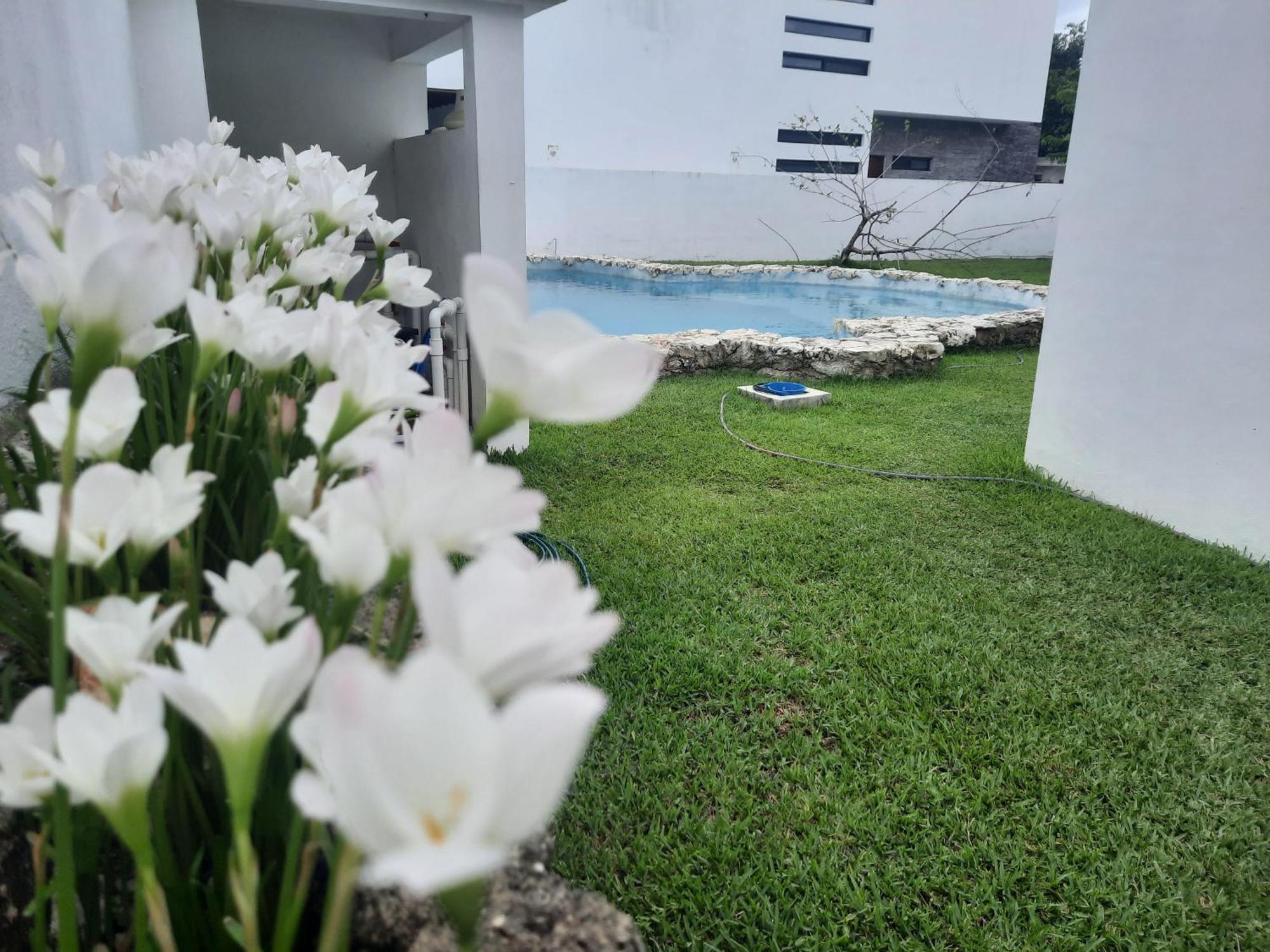 Amaxing Cancun Airport מראה חיצוני תמונה